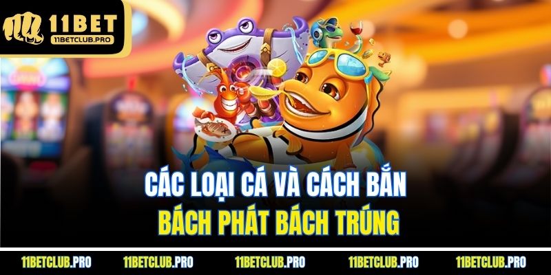 Các loại cá và cách bắn bách phát bách trúng