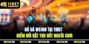 Đá Gà WS168 Tại 11BET - Điểm Nổi Bật Thu Hút Người Chơi