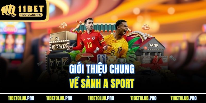 Giới thiệu chung về sảnh A Sport
