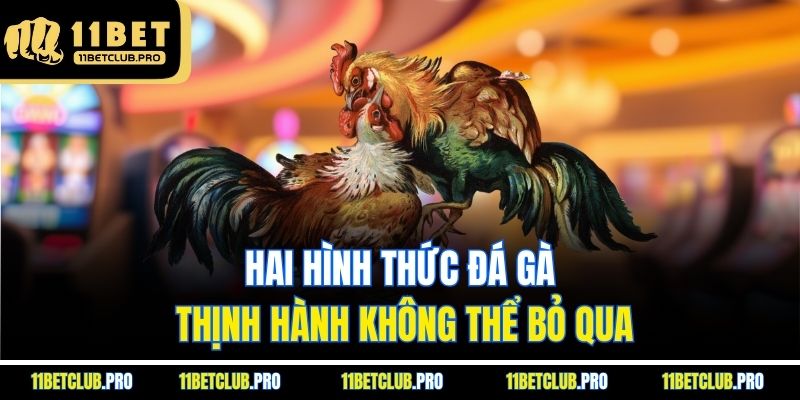 Hai hình thức đá gà thịnh hành không thể bỏ qua