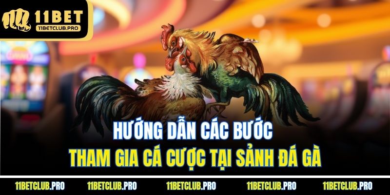Hướng dẫn các bước tham gia cá cược tại sảnh đá gà