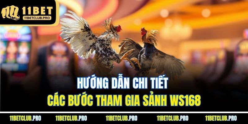 Hướng dẫn chi tiết các bước tham gia sảnh WS168