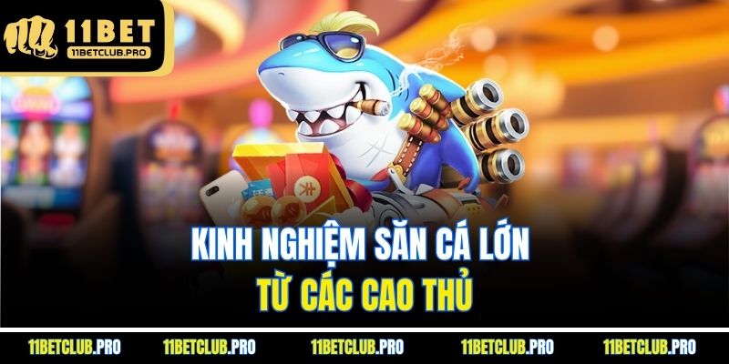 Kinh nghiệm săn cá lớn từ các cao thủ