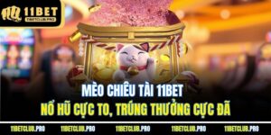 Mèo Chiêu Tài