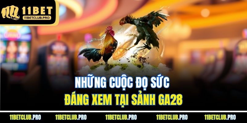 Những cuộc đọ sức đáng xem tại sảnh GA28