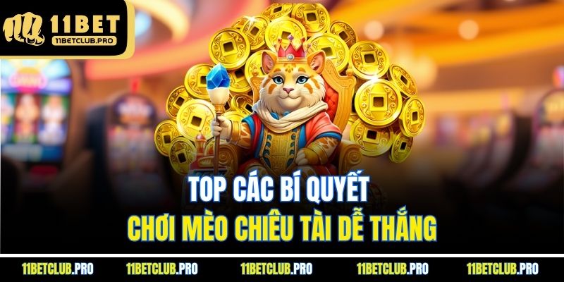Top các bí quyết chơi Mèo Chiêu Tài dễ thắng