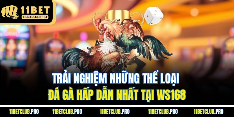 Trải nghiệm những thể loại đá gà hấp dẫn nhất tại WS168